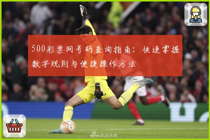 500彩票网号码查询指南：快速掌握数字规则与便捷操作方法