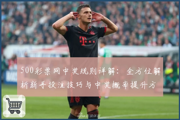 500彩票网中奖规则详解：全方位解析新手投注技巧与中奖概率提升方法