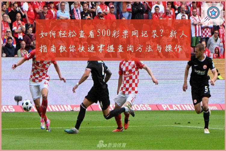 如何轻松查看500彩票网记录？新人指南教你快速掌握查询方法与操作技巧