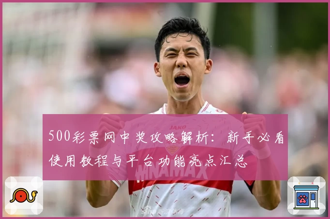 500彩票网中奖攻略解析：新手必看使用教程与平台功能亮点汇总