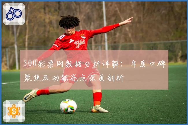 500彩票网数据分析详解：年度口碑聚焦及功能亮点深度剖析