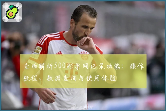 全面解析500彩票网记录功能：操作教程、数据查询与使用体验