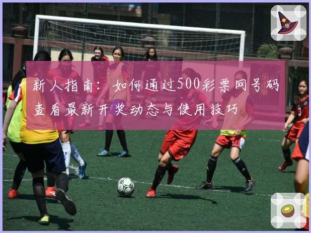 新人指南：如何通过500彩票网号码查看最新开奖动态与使用技巧