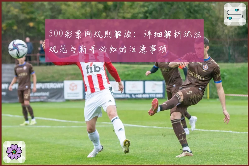 500彩票网规则解读：详细解析玩法规范与新手必知的注意事项